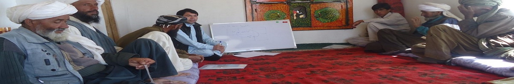 Training programs about nurseries for farmers of three   districts of Ghor province